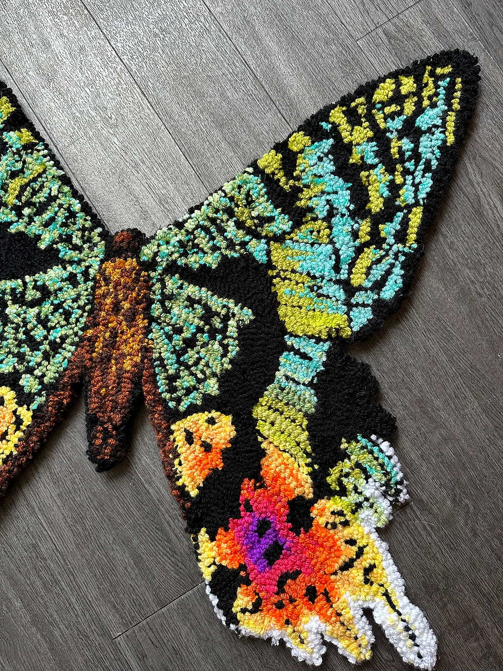 Thumbnail: Madagascan Sunset Moth