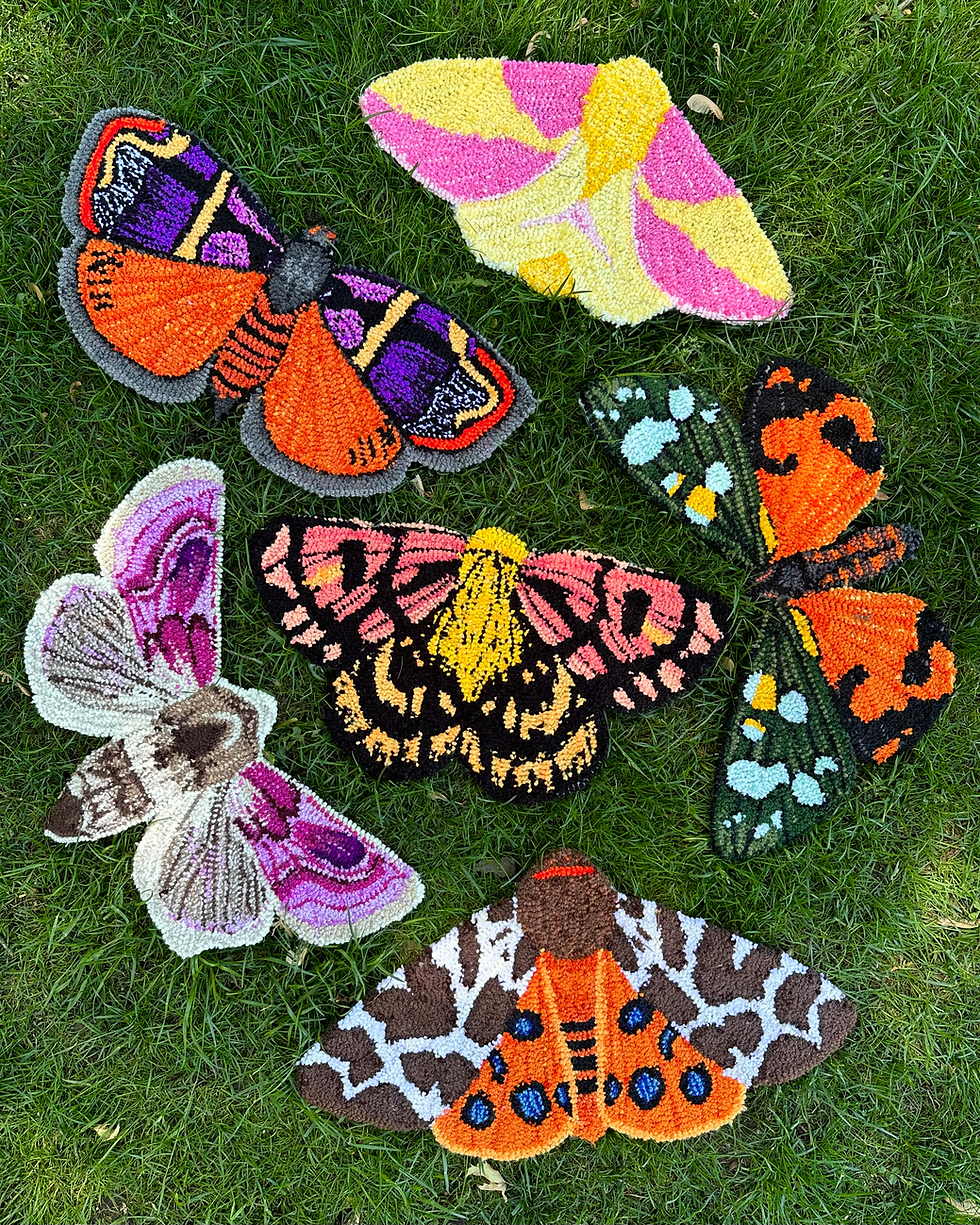 Thumbnail: Hemerophila Diva Moth