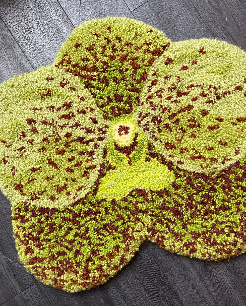 Thumbnail: Green Vanda Orchid
