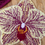 Thumbnail: SAMPLE Light Yellow Phal Orchid Wallhanging