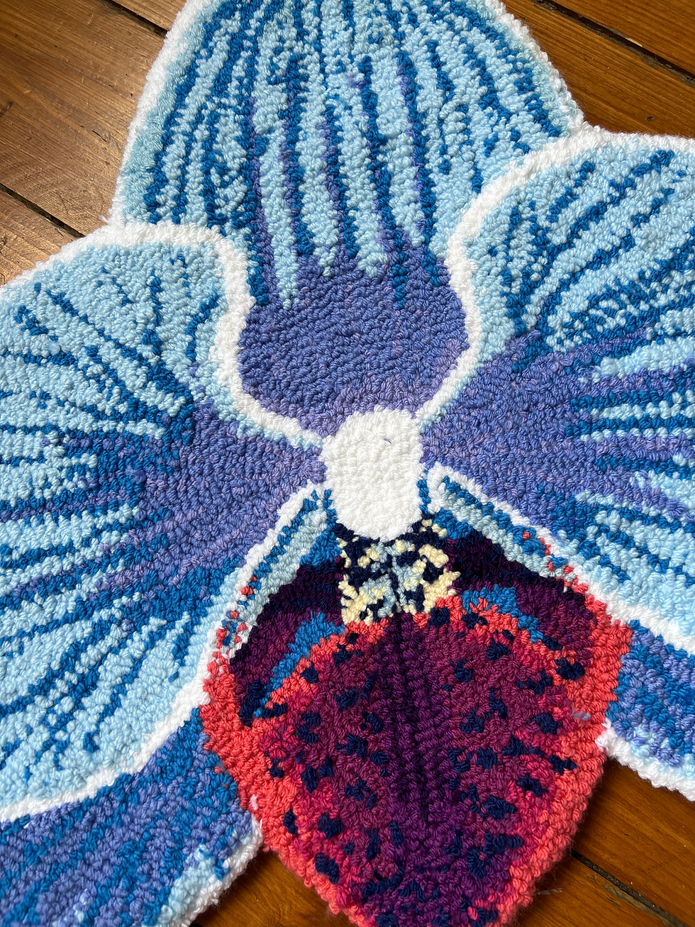 Thumbnail: Blue Phal Orchid