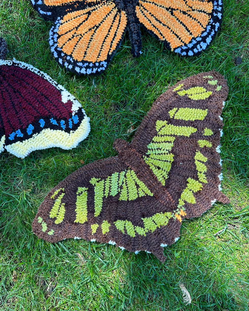 Thumbnail: Malachite Butterfly