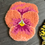 Miniatura: 🧡ORANGE/YELLOW💛 MINI PANSIES