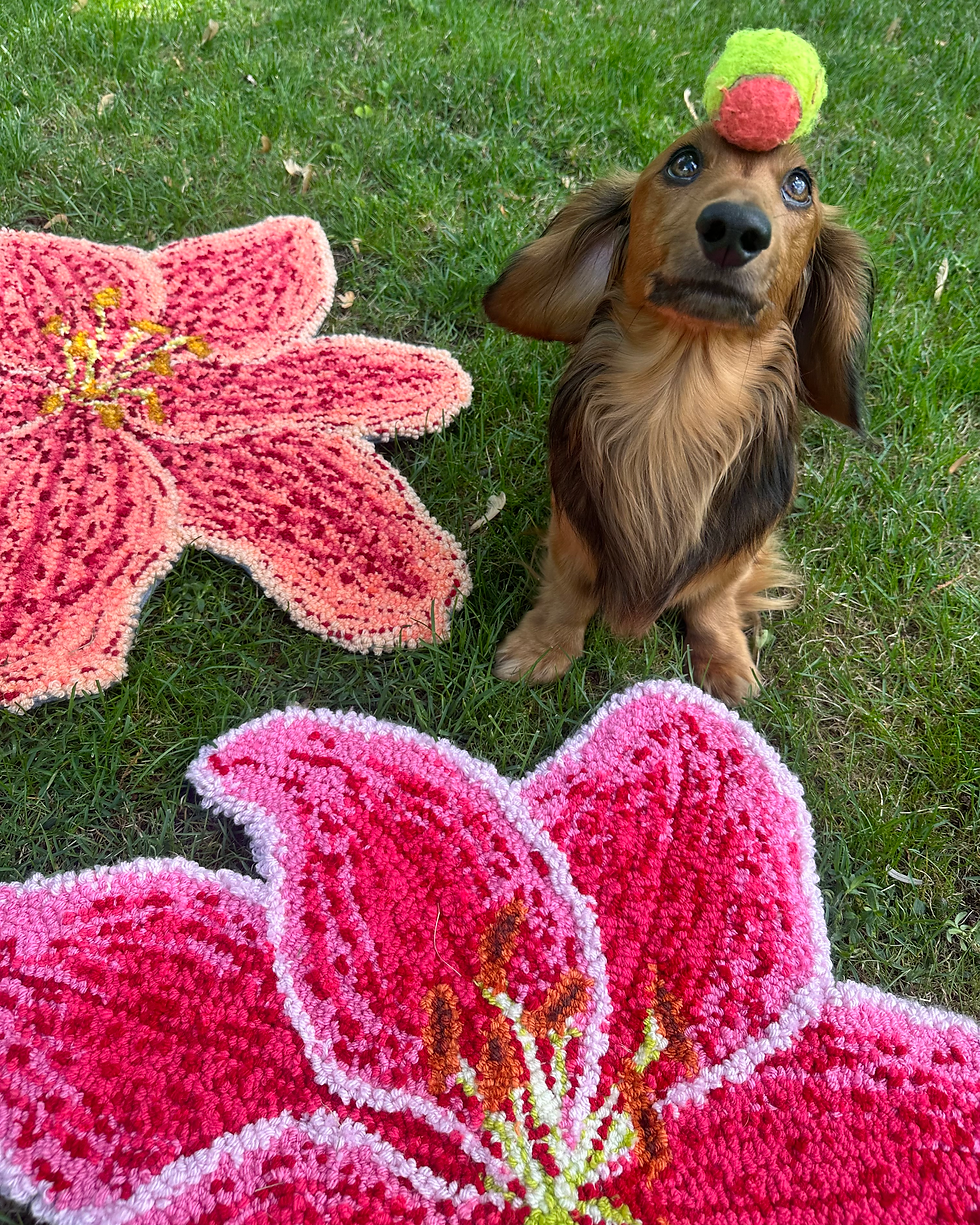 Thumbnail: Stargazer Lily