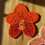 Thumbnail: SAMPLE Orange Vanda Orchid Wallhanging