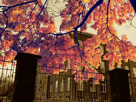 The beauty of October
