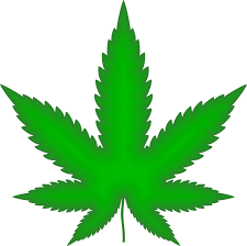 Weed Leaf