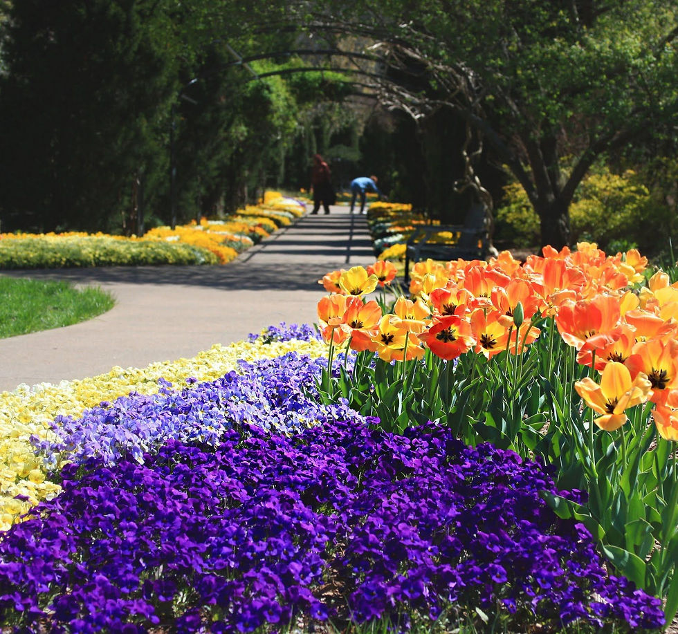 Cheekwood Botanical Garden