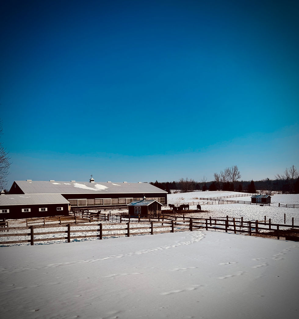 House with a Backyard
