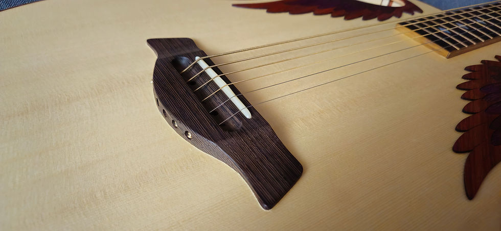Miniaturbild: Grand auditorium custom shop