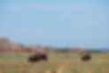 SW Okla.-0321.jpg