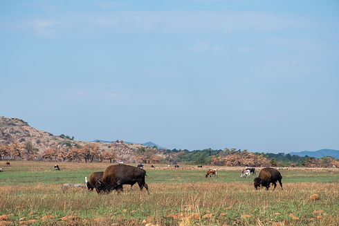 SW Okla.-0321.jpg