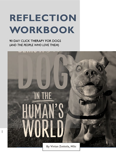 Screenshot 2025-06-22 210545_edited.jpg