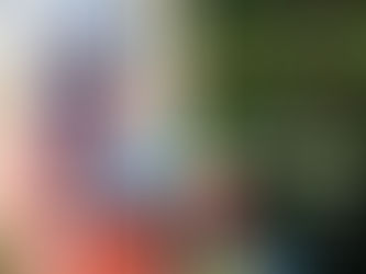 First Black Forest Supervisor Writes Memoir