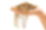 AdobeStock_48346991.jpeg