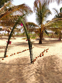 Gambian Beach Wedding Arch