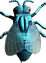 ფრენა