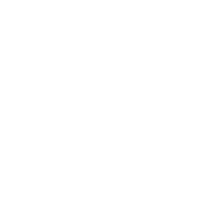 streamline_investment-selection.webp