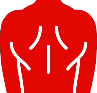 back (3).webp