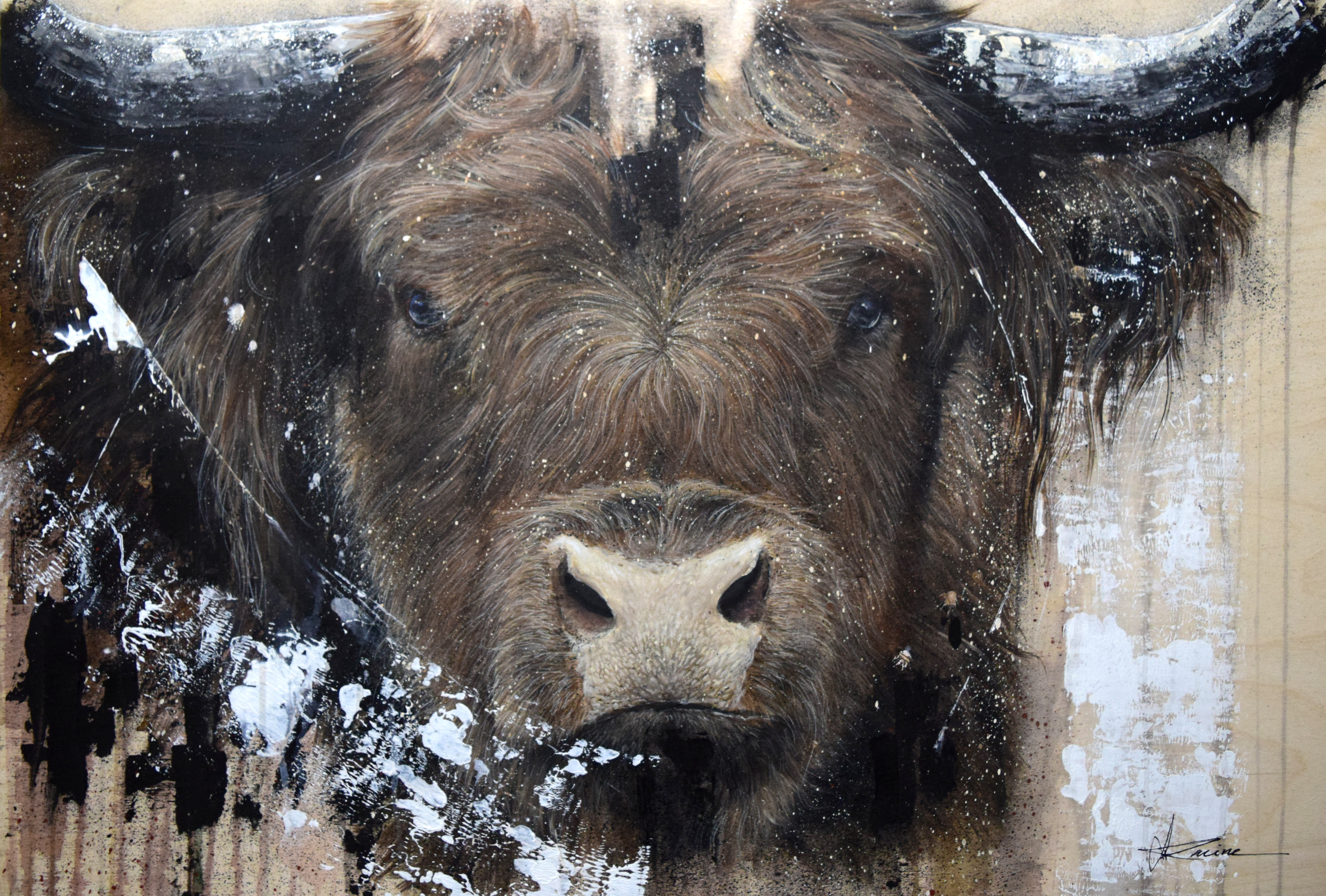 Vache Exotique