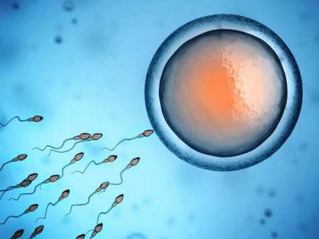 Se préparer avant une grossesse : Pré-conception