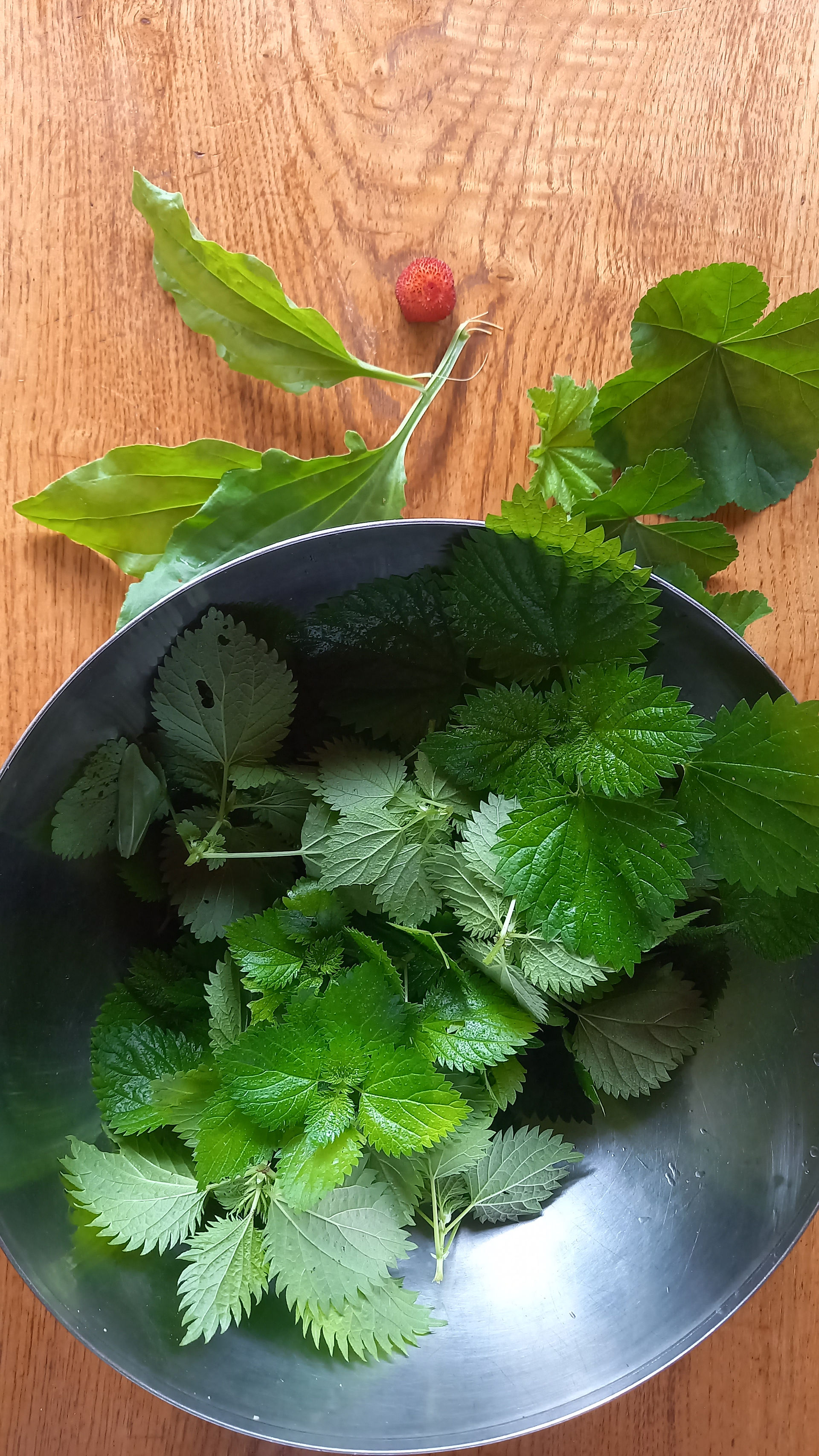 Consultation de naturopathie ou Stage de detox avec FannyNaturo pour une profonde régénération