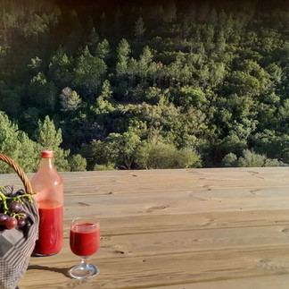 Stage de detox, alimentation vivante, jeûne au Portugal avec Fanny.