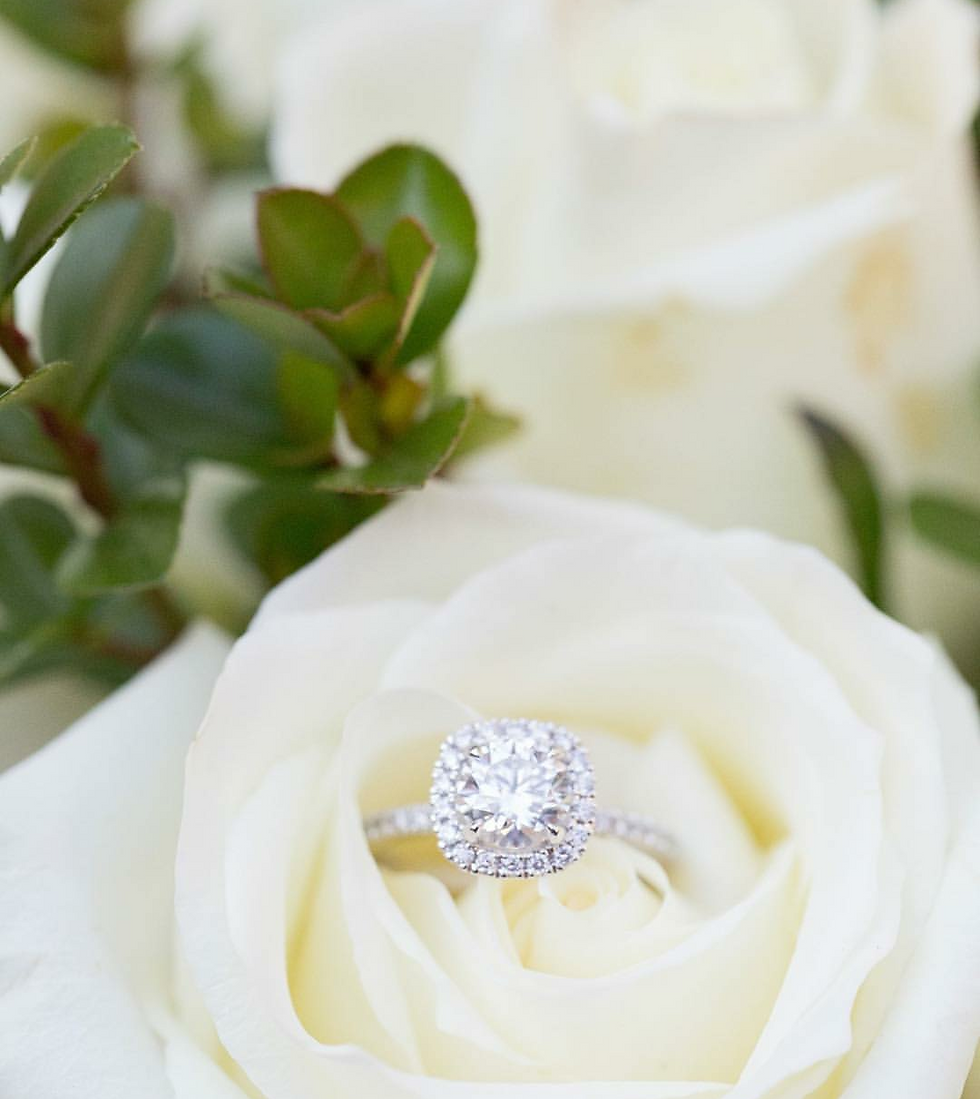 Cushion/Brett Denfeld Photography