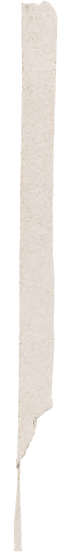 paper 2.png