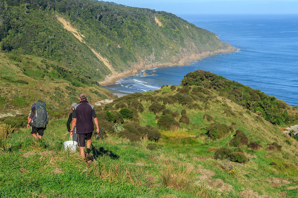 Along the tops with the Kahurangi river in view