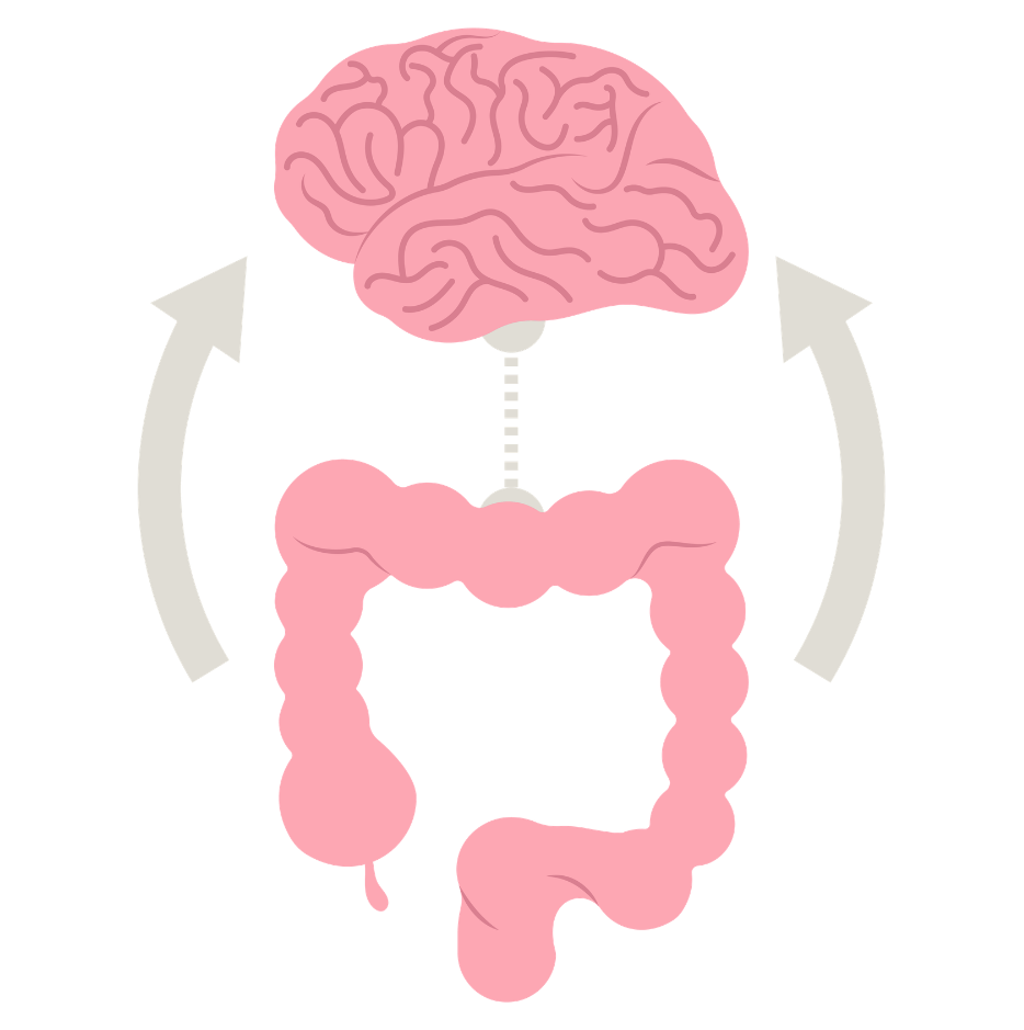 🧠 Votre deuxième cerveau vous parle, apprenez à l’écouter !