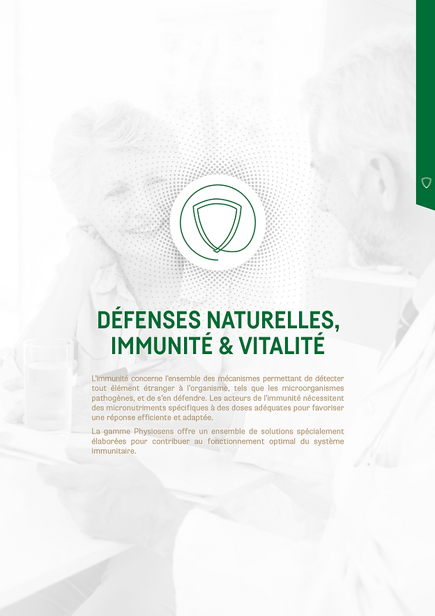 Capture d’écran 2024-02-01 à 16.29.32.png