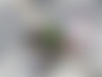 Jorge Prado deja Kawasaki: ¿Qué sucederá ahora?