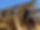 IMG_6390.jpeg