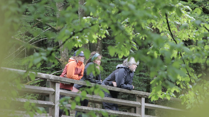 Drei Menschen stehen auf einer kleinen Brücke im Wald.