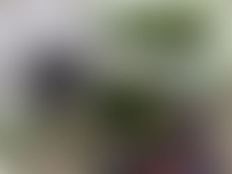 Nちゃんが来ました。