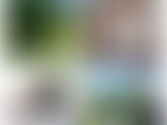 勝沼ワイン旅!(前半)写真いっぱい!