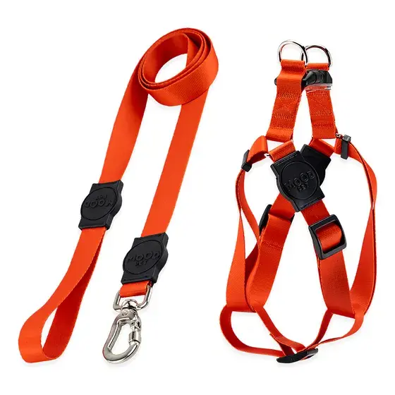 Orange dog harness and leash set. My Site