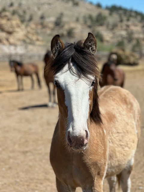Unexpected Blessings From the Wild Side!