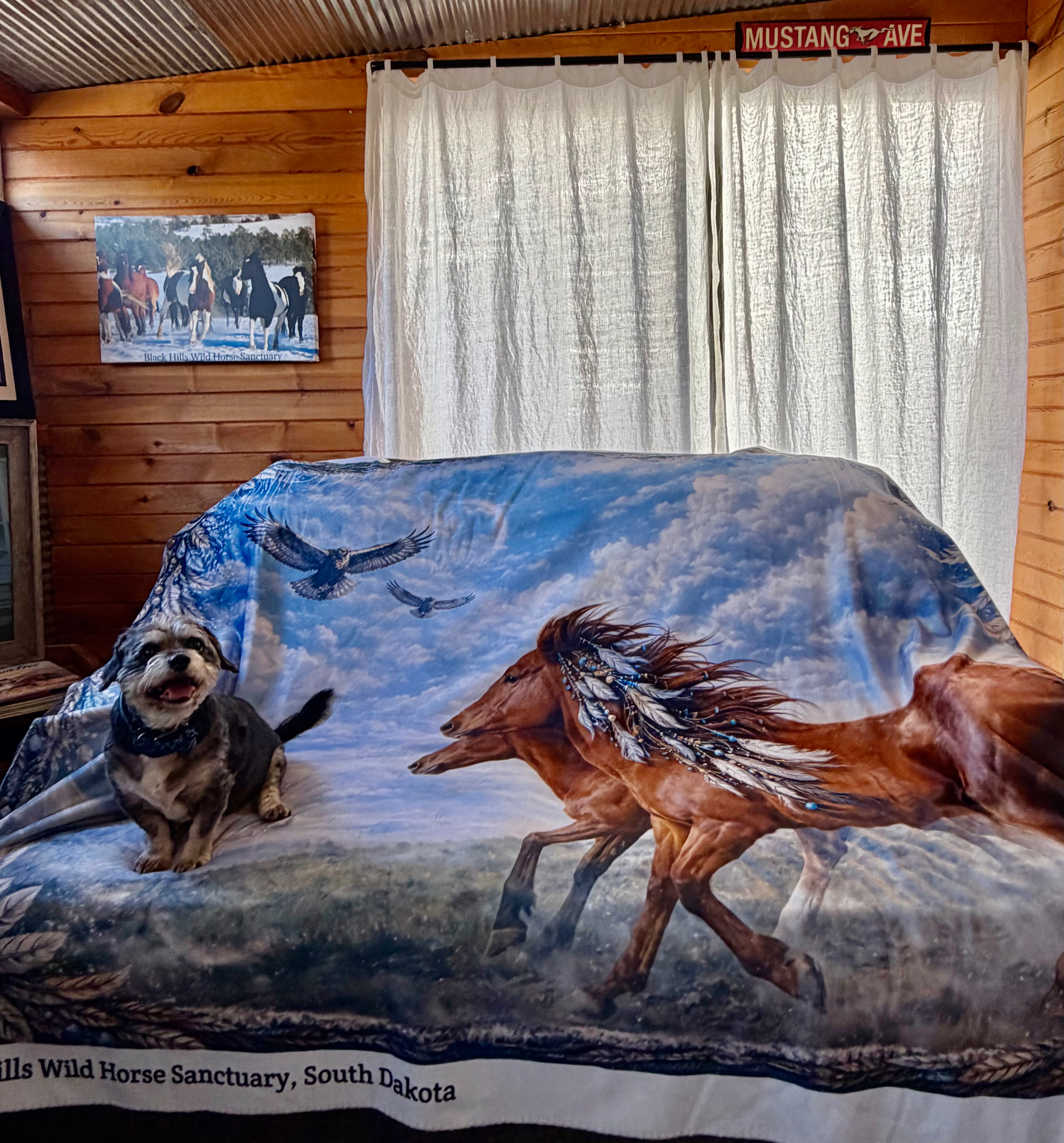 Whimsical Wild Horse Sanctuary Sherpa Blankets - (60" x 80")