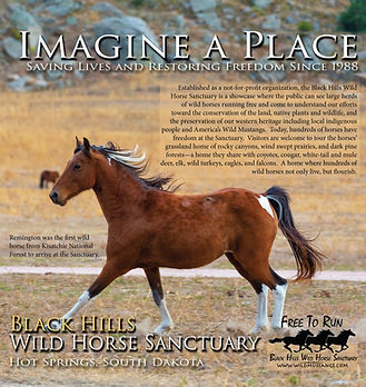 Kisatchie Story of Hope_Page_01.jpg