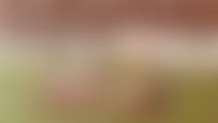 Por que vou, no dia 25 de outubro, colocar o Benfica Acima de Tudo