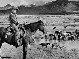 The importance of cowboys