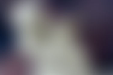 Gebroke en verlore...