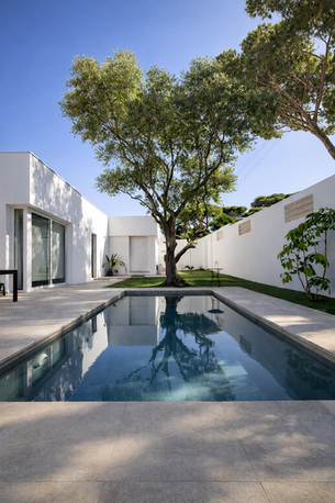 Vivienda Pareada de Diseño