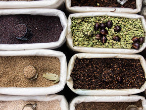 Krishna Hare Krishna, Krishna Krishna Hare Hare