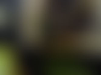 Para quem ama hambúrguer