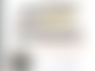 Recovery Picnic -July 17th!