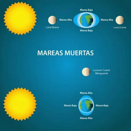 Mareas para Kayakistas 🛶