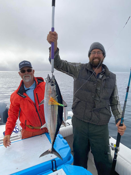 Albacore have arrived